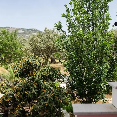 Apartamento Cozy & Peaceful In Chalki *